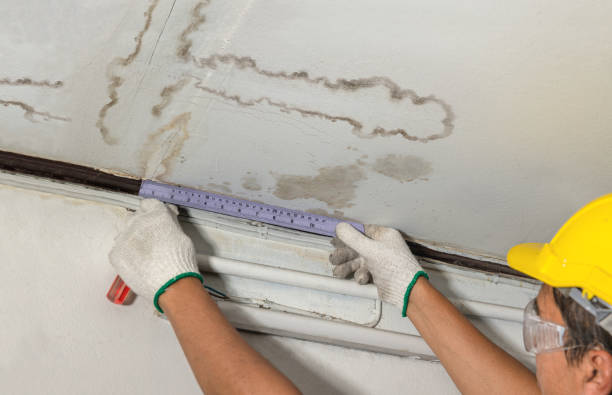 Reliable Water Damage contractor in Carteret, NJ by Water Damage Irwin
